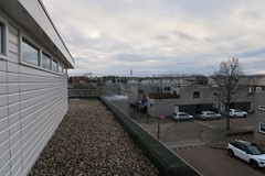 IMG_3282.JPG