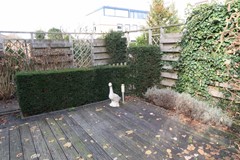 Nieuw in verhuur: Frans Coenenhove, 3438 HJ Nieuwegein