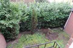 IMG_4685.JPG