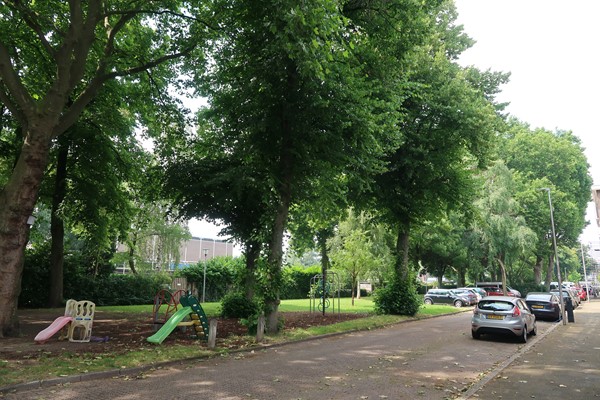 Medium property photo - Merwedestraat, 3522 XN Utrecht