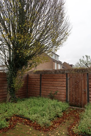 Medium property photo - Reigerskamp, 3607 JR Maarssen