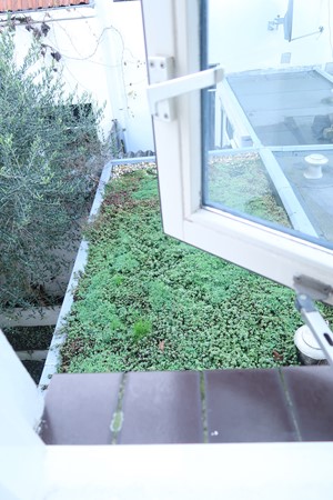 Medium property photo - Riouwstraat, 3531 CX Utrecht