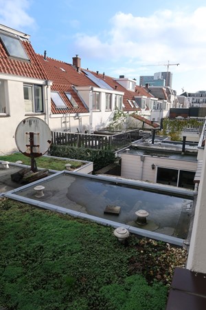 Medium property photo - Riouwstraat, 3531 CX Utrecht