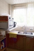 IMG_5954.jpg