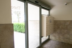 IMG_5950.jpg