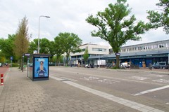 IMG_5936.jpg