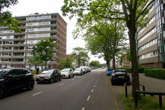 IMG_5944.jpg