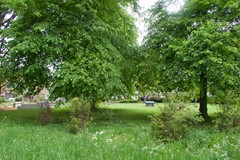 IMG_5946.jpg