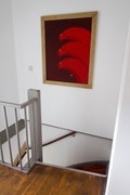 IMG_6025.jpg