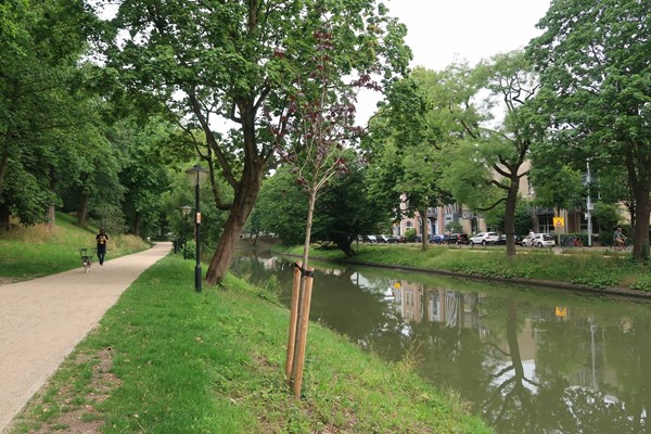 Medium property photo - Kromme Nieuwegracht, 3512 HD Utrecht