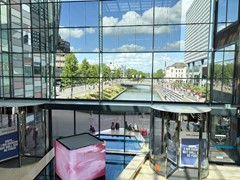 IMG_1424.jpg