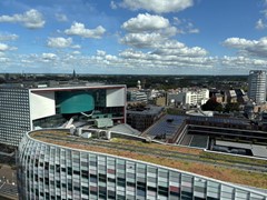 IMG_1414.jpg
