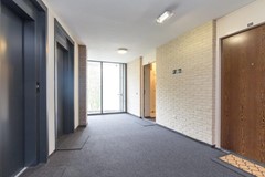 For rent: Wimbledonpark, 1185 XJ Amstelveen