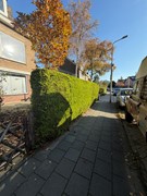 For rent: Thorbeckelaan, 1181 VR Amstelveen