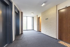 New for rent: Wimbledonpark, 1185 XJ Amstelveen