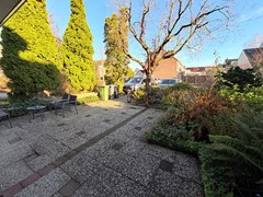 IMG_4340.jpeg