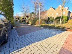 IMG_4346.jpeg