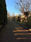 IMG_4347.jpeg