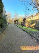 IMG_4348.jpeg