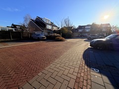 IMG_4343.jpeg