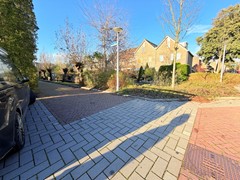 IMG_4344.jpeg