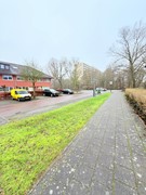IMG_0125.jpeg