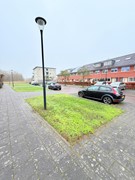 IMG_0124.jpeg
