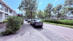 IMG_9148.jpeg