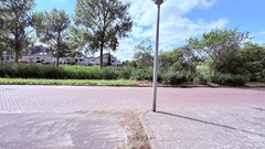 IMG_9149.jpeg