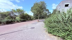IMG_9150.jpeg