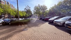 IMG_3868.jpeg