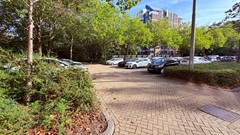 IMG_3867.jpeg