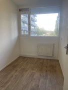 Rented: Meidoornweg, 1171 KD Badhoevedorp