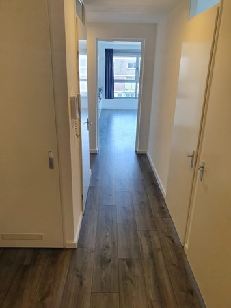 For rent: Anna Blamansingel, 1102ST Amsterdam