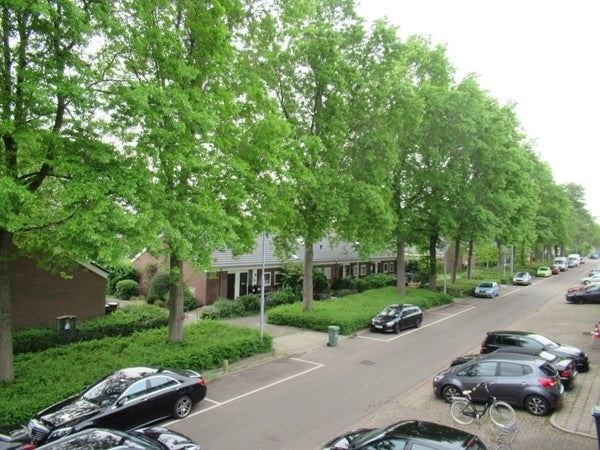 Medium property photo - Jan van Gentstraat, 1171 GN Badhoevedorp