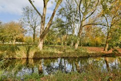 Willy Petillonstraat 1 - 27.jpg