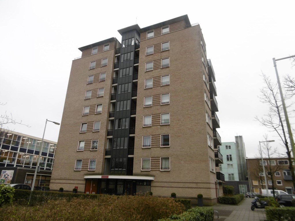 Veldzicht, Amsterdam