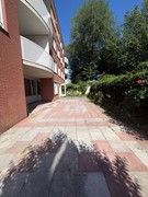image00013.jpeg