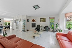 DSC03313.jpg