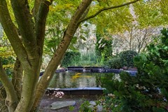 DSC03475.jpg