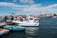 C9_Iconic_Gran Alacant_Puerto pesquero.jpg