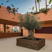 Exterior 3.jpg