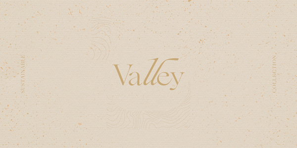 Brochure preview - Book_valley_digital_sinlogo.pdf