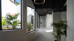 aloha-comunes-10-1024x576.jpg