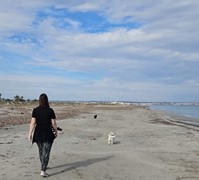pilar strand.JPG