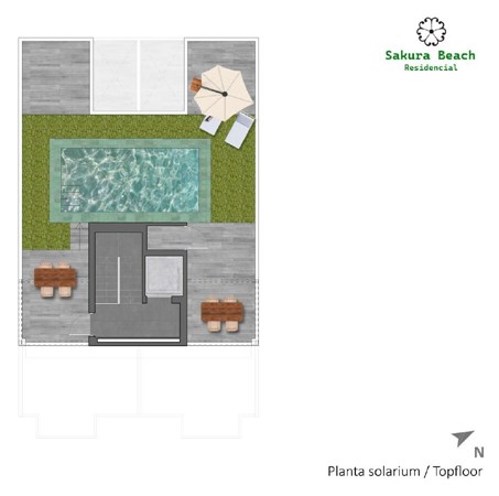 Calle Manuel Molino 7, 03191 Torre de la Horadada - Sakura sol.JPG