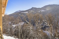 Koop: Impasse du Cottage, 74360 Abondance