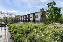 Verkocht: Marie Baronstraat 21, 3056 AA Rotterdam