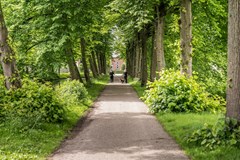 Verkocht: Dorpsdijk 38, 3161 KG Rhoon