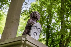 Verkocht: Dorpsdijk 38, 3161 KG Rhoon